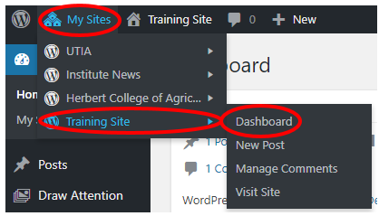 How to get to Dashboard of your site