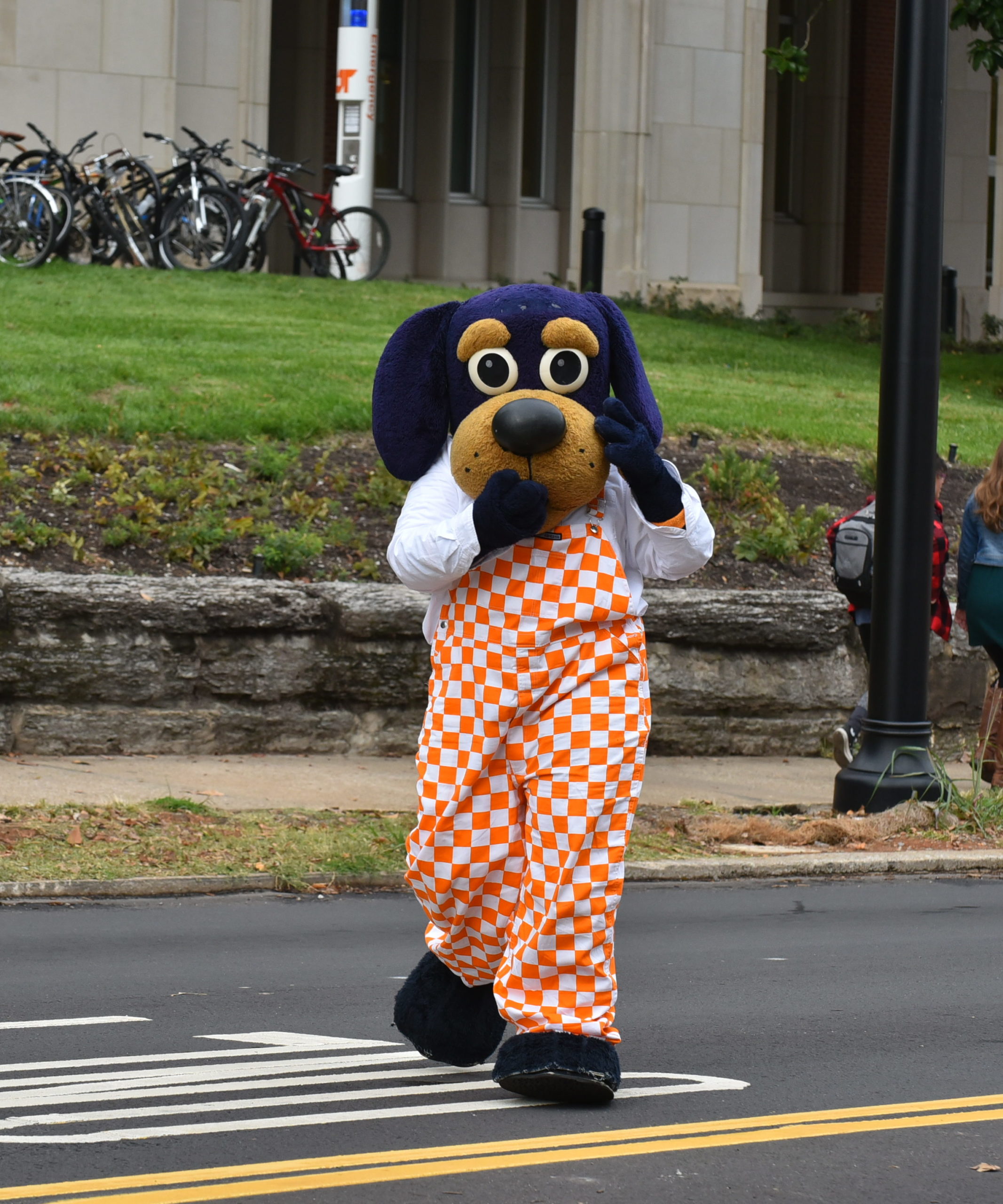 Smokey in his orange and white checkered overalls standing in the street 