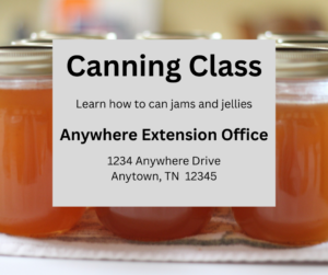 A group of jellies in mason jars