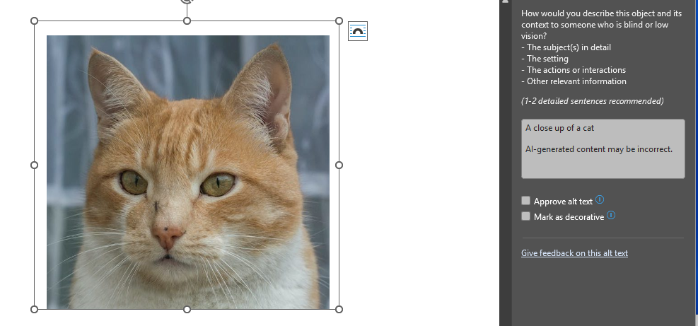 Screen shot of adding alt text to image in Word or PowerPoint