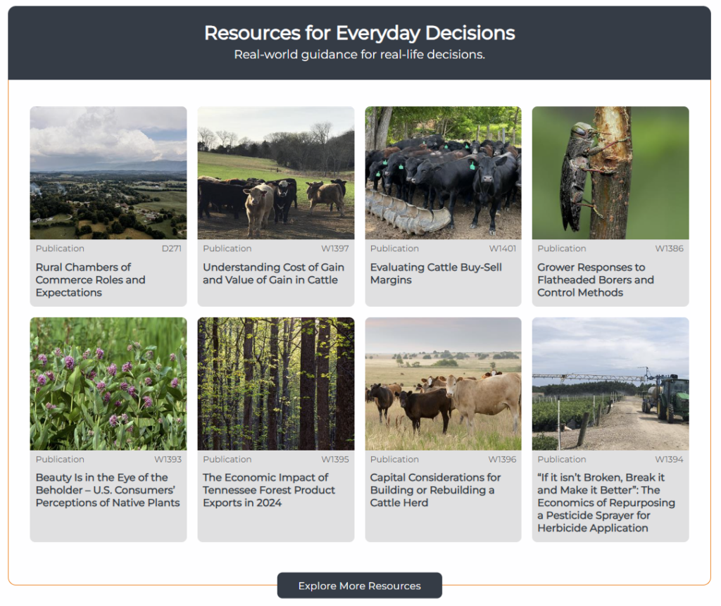Resources for Everyday Decisions - Screenshot of the UTIA Resource - Multi Block placed on a webpage showing selected resources (publications)