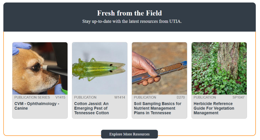 Screenshot of UTIA Resource - Multi Block when first placed on a webpage in edit mode