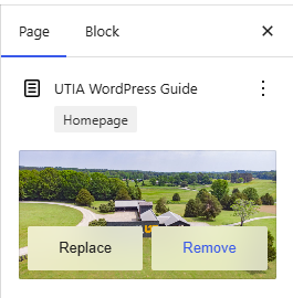 Screenshot of how to remove existing featured image
